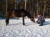04.01.2012_2.webp