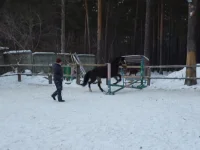 08.01.2012_Прыжок.webp