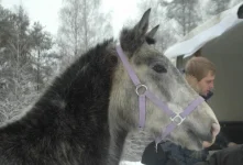 y_14ac5e39.webp