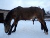 DSC00330.JPG