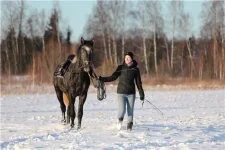 afe32c39f42a[1].webp
