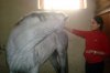 DSC07011.JPG