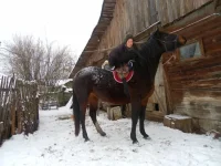 SAM_2487.webp