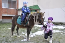алька.webp