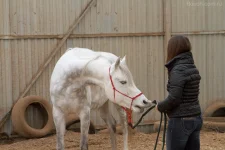z_2a163e07.webp