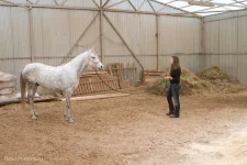 z_fffe6475.webp