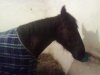 16032010013.jpg