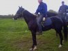 18092010054.jpg