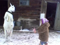 Atvaizd023.webp