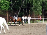 14.webp