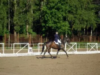 82.webp