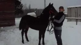 z_240c8e33.webp