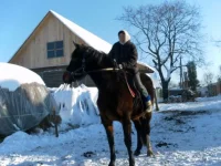 SAM_2518.webp