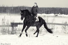 z_89a7235a.webp