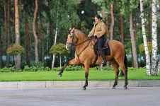 rps20120202_234404.webp