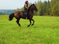 DSC_3701.webp
