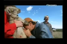 TVCAMdevice_20111124_153625.875.webp