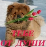 x_2051abfc.webp
