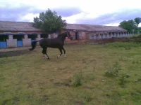 21052011(005).webp