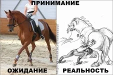 x_cfe87c6d.webp