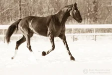 0_cd9fc_ab45c28_orig.webp