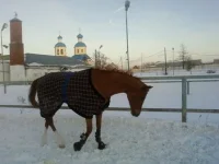 SP_A0292.webp