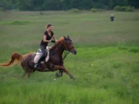 x_b6719a07.webp