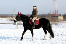 z_7f7e0ad8.webp