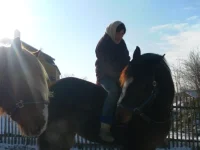 SAM_2525.webp