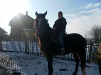 SAM_2529.webp