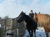 SAM_2538.webp