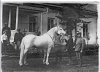 Gromadnij (Letuchij 1877 - Gromade 1887) 1894.jpg