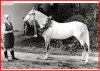 Pion (Otklik 1952 - Pridannitsa 1952) 1966.jpg