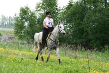 88.webp