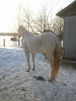 x_b680f4d2.webp