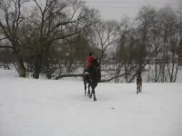IMG_2907.webp