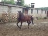 DSC01132.JPG