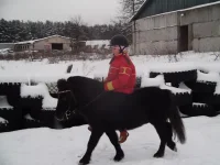 DSCF1662.webp