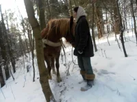 SAM_2555.webp