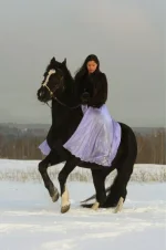 y_d3d01603.webp