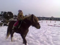 Atvaizd028.webp