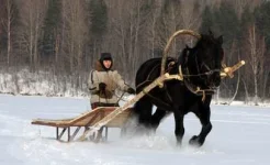 Саночки.webp