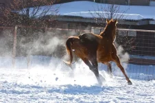 x_8e3bd311.webp