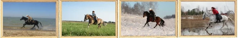 Безымянный.webp