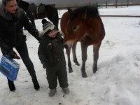 x_0db82218.webp