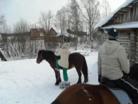 SAM_2967.webp