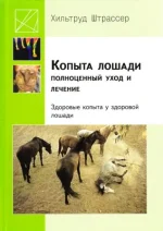 Штрассе - опыта лошади, полноценный уход и лечение.webp