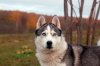 DSC_7224.JPG