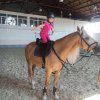 IMG_2908-01-12-17-11-58.JPG