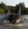 20170820_171808-1-1.jpg